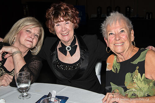 Winter Wonderland Gala 2024 - South Okanagan Similkameen Medical Foundation