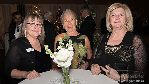 Winter Wonderland Gala 2024 - South Okanagan Similkameen Medical Foundation