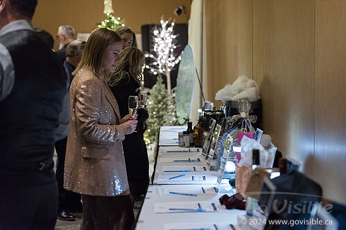 Winter Wonderland Gala 2024 - South Okanagan Similkameen Medical Foundation