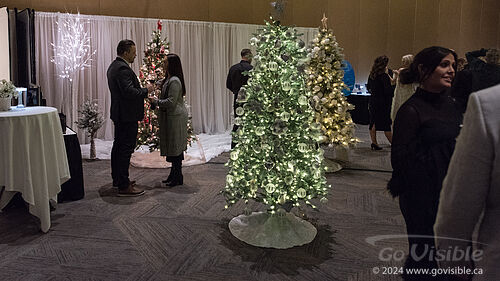 Winter Wonderland Gala 2024 - South Okanagan Similkameen Medical Foundation