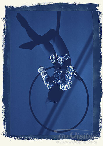 Kinshira Entertainment - Aerial Performances at Business Excellence Awards 2024