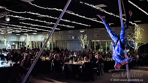 Kinshira Entertainment - Aerial Performances at Business Excellence Awards 2024