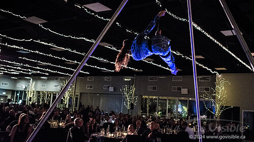 Kinshira Entertainment - Aerial Performances at Business Excellence Awards 2024