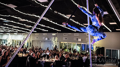 Kinshira Entertainment - Aerial Performances at Business Excellence Awards 2024