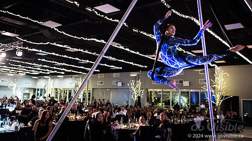 Kinshira Entertainment - Aerial Performances at Business Excellence Awards 2024