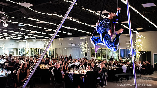 Kinshira Entertainment - Aerial Performances at Business Excellence Awards 2024