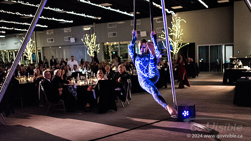 Kinshira Entertainment - Aerial Performances at Business Excellence Awards 2024