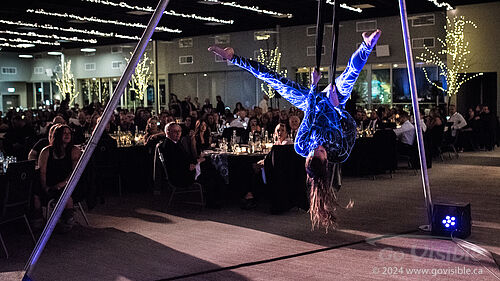 Kinshira Entertainment - Aerial Performances at Business Excellence Awards 2024