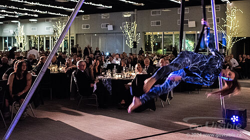 Kinshira Entertainment - Aerial Performances at Business Excellence Awards 2024