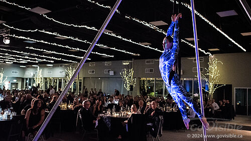 Kinshira Entertainment - Aerial Performances at Business Excellence Awards 2024