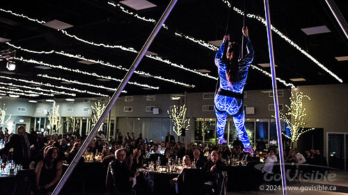 Kinshira Entertainment - Aerial Performances at Business Excellence Awards 2024