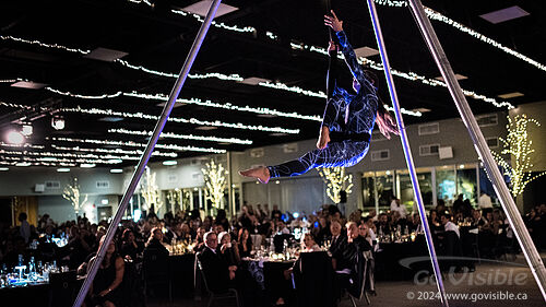 Kinshira Entertainment - Aerial Performances at Business Excellence Awards 2024