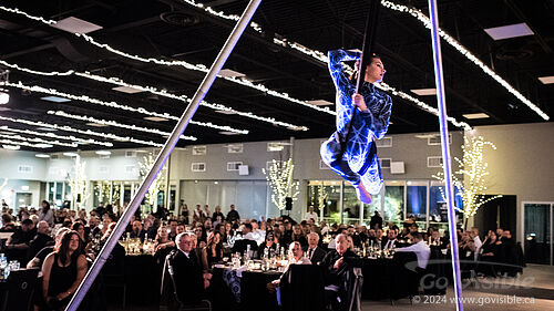 Kinshira Entertainment - Aerial Performances at Business Excellence Awards 2024