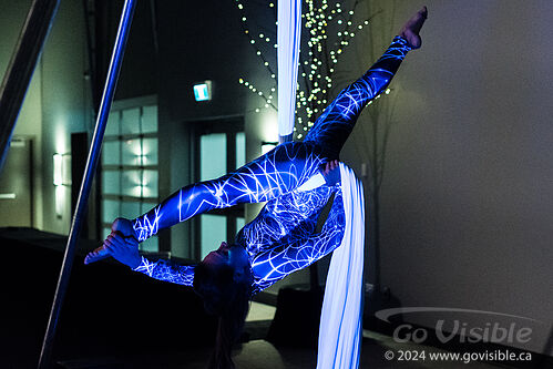 Kinshira Entertainment - Aerial Performances at Business Excellence Awards 2024