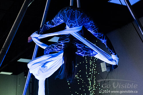 Kinshira Entertainment - Aerial Performances at Business Excellence Awards 2024