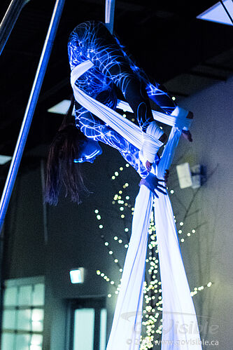 Kinshira Entertainment - Aerial Performances at Business Excellence Awards 2024