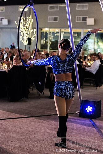 Kinshira Entertainment - Aerial Performances at Business Excellence Awards 2024