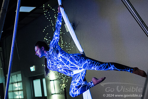 Kinshira Entertainment - Aerial Performances at Business Excellence Awards 2024