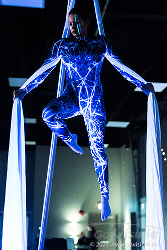 Kinshira Entertainment - Aerial Performances at Business Excellence Awards 2024