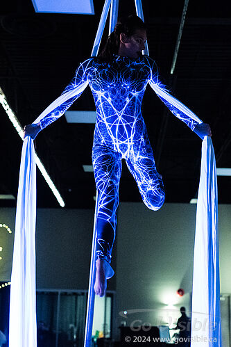 Kinshira Entertainment - Aerial Performances at Business Excellence Awards 2024