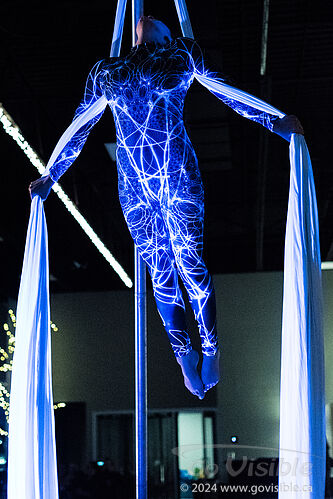 Kinshira Entertainment - Aerial Performances at Business Excellence Awards 2024