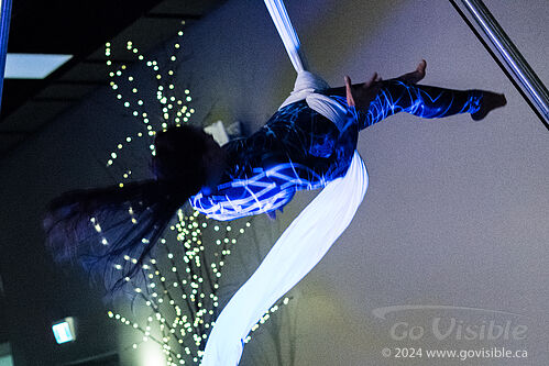 Kinshira Entertainment - Aerial Performances at Business Excellence Awards 2024