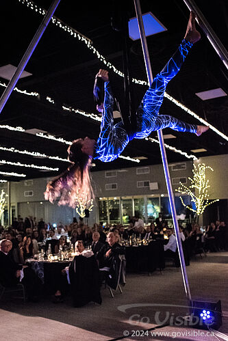 Kinshira Entertainment - Aerial Performances at Business Excellence Awards 2024