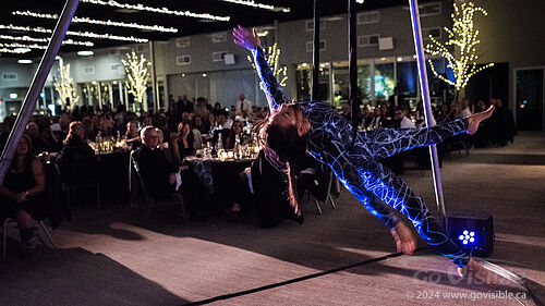 Kinshira Entertainment - Aerial Performances at Business Excellence Awards 2024