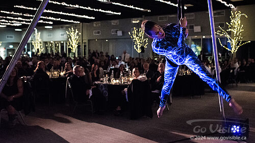 Kinshira Entertainment - Aerial Performances at Business Excellence Awards 2024