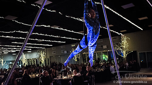 Kinshira Entertainment - Aerial Performances at Business Excellence Awards 2024