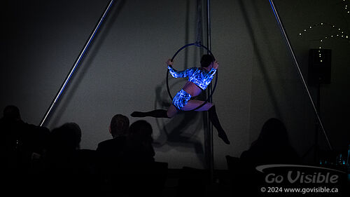 Kinshira Entertainment - Aerial Performances at Business Excellence Awards 2024