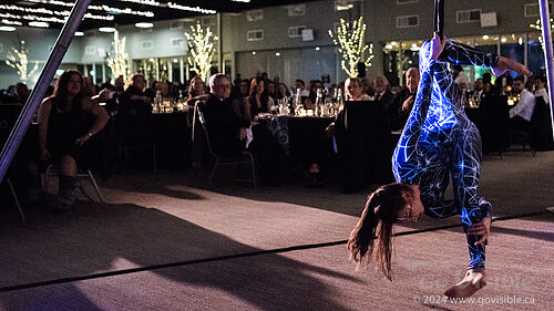 Kinshira Entertainment - Aerial Performances at Business Excellence Awards 2024