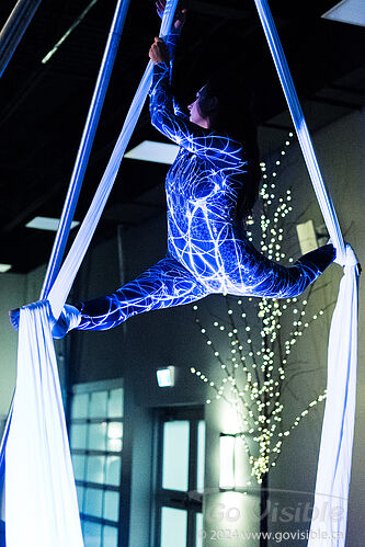 Kinshira Entertainment - Aerial Performances at Business Excellence Awards 2024