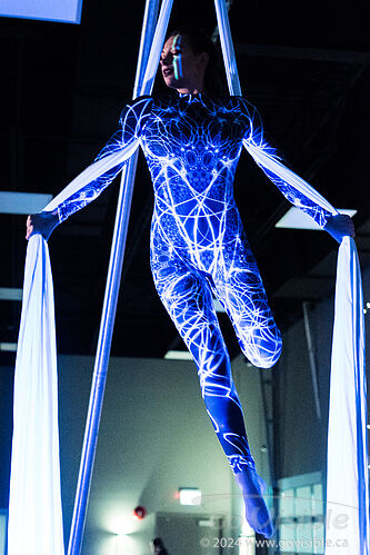 Kinshira Entertainment - Aerial Performances at Business Excellence Awards 2024