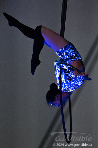 Kinshira Entertainment - Aerial Performances at Business Excellence Awards 2024