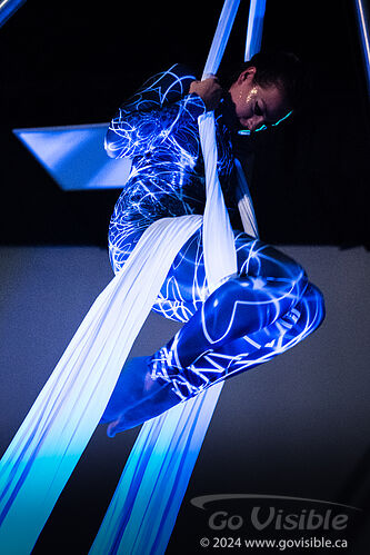 Kinshira Entertainment - Aerial Performances at Business Excellence Awards 2024