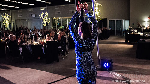 Kinshira Entertainment - Aerial Performances at Business Excellence Awards 2024