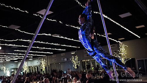 Kinshira Entertainment - Aerial Performances at Business Excellence Awards 2024