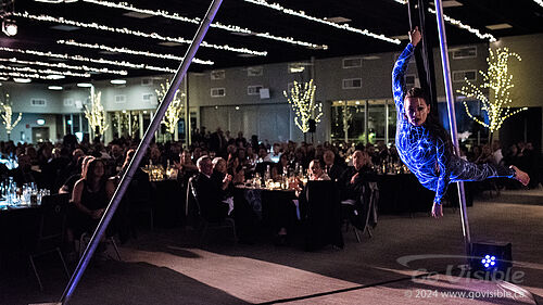 Kinshira Entertainment - Aerial Performances at Business Excellence Awards 2024