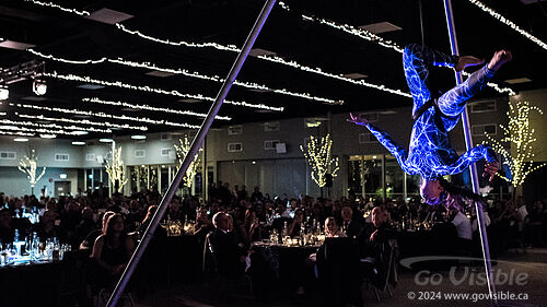 Kinshira Entertainment - Aerial Performances at Business Excellence Awards 2024