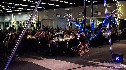 Kinshira Entertainment - Aerial Performances at Business Excellence Awards 2024