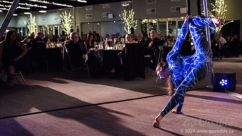 Kinshira Entertainment - Aerial Performances at Business Excellence Awards 2024