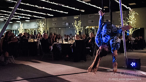 Kinshira Entertainment - Aerial Performances at Business Excellence Awards 2024