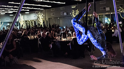 Kinshira Entertainment - Aerial Performances at Business Excellence Awards 2024