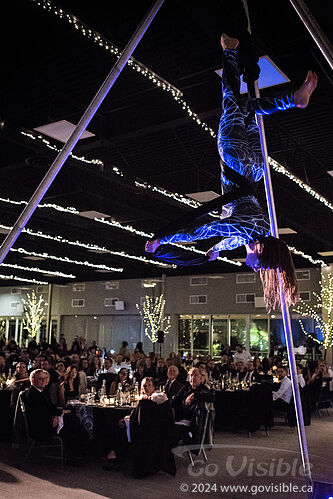 Kinshira Entertainment - Aerial Performances at Business Excellence Awards 2024